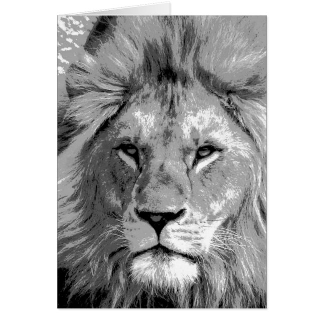 Black White Lion (Voorkant)