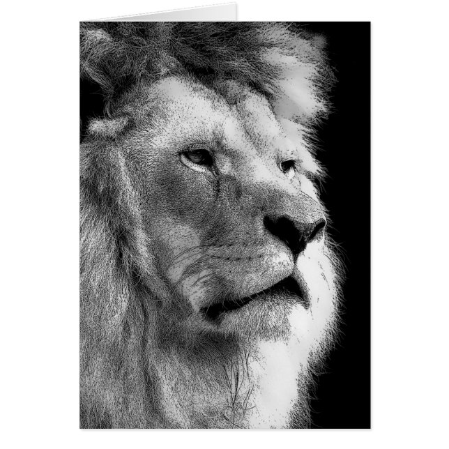Black White Lion (Voorkant)