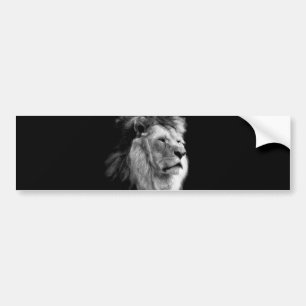 Black White Lion Bumpersticker