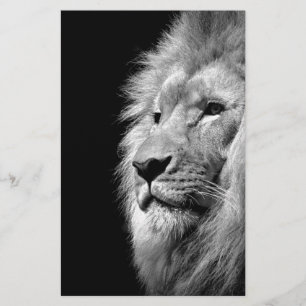 Black White Lion Portret - Dierfotografie Briefpapier