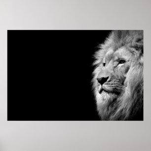 Black White Lion Portret - Dierfotografie Poster