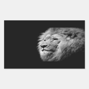 Black White Lion Portret - Dierfotografie Rechthoekige Sticker