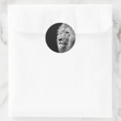Black White Lion Portret - Dierfotografie Ronde Sticker (Tas)