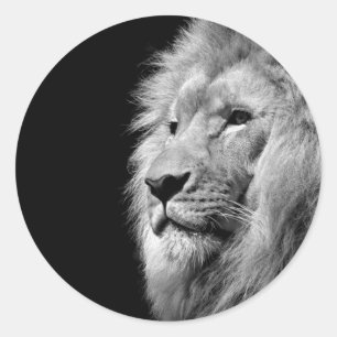 Black White Lion Portret - Dierfotografie Ronde Sticker