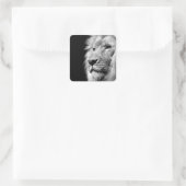 Black White Lion Portret - Dierfotografie Vierkante Sticker (Tas)