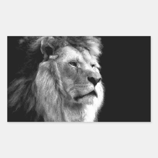 Black White Lion Rechthoekige Sticker (Voorkant)