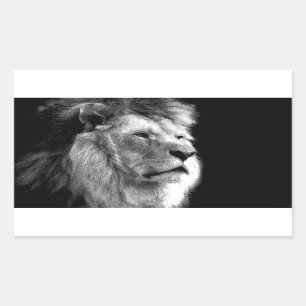 Black White Lion Rechthoekige Sticker