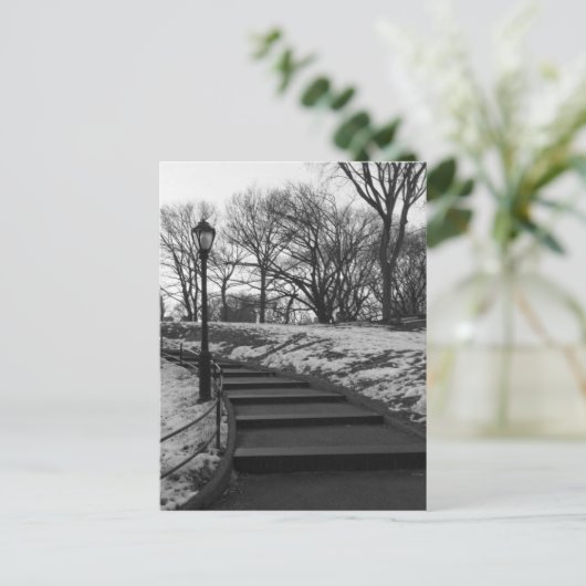 Black White NY Central Park Briefkaart (Staand voorkant)