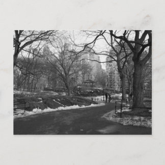 Black White NY Central Park Briefkaart