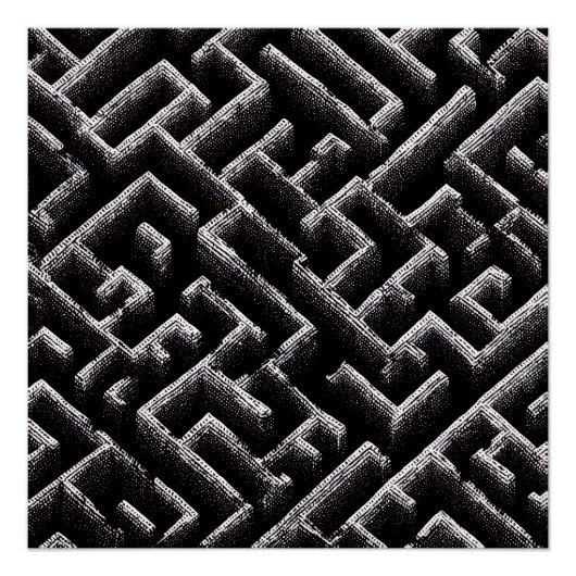 Black & White Optical Illusion Maze Pattern Art Perfect Poster (Voorkant)