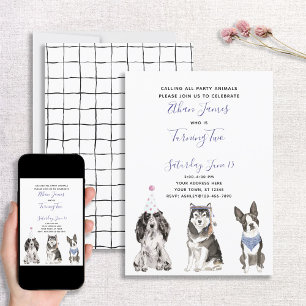 Black White Paars Dog Baby's 2e verjaardag Kaart