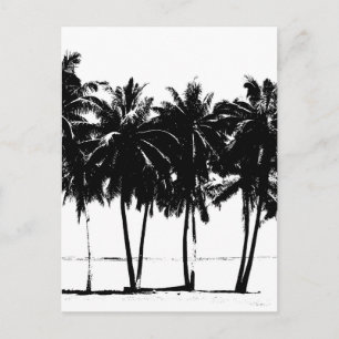 Black White Palm Trees Silhouette Briefkaart