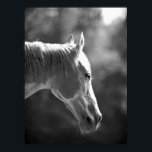 Black & White Pop Art Horse Print Poster<br><div class="desc">BW Horse Head Pop Art Posters Prints - Black & White Farm Animals Photography Digital Pop Art Artwork - Pop Art Black & White Horse Face Poster Print with Small, Medium, Large, Huge - Giant, Colossal Poster Sizes. Huge Horse Posters Prints.</div>