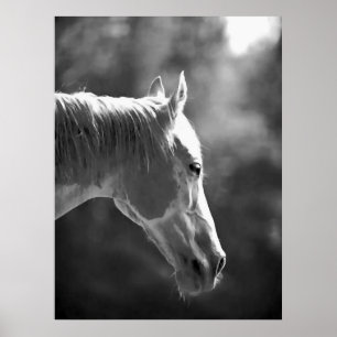 Black & White Pop Art Horse Print Poster