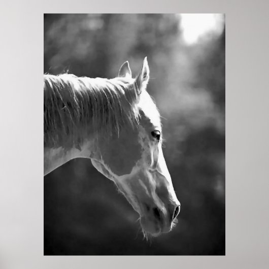 Black & White Pop Art Horse Print Poster (Devant)