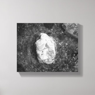 Black & White Rock in het meer Water 8x10 Canvas Afdruk