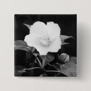Black & White Rose Mallow Square Button