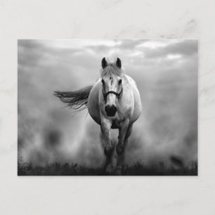 Black White Running Horse Freedom Briefkaart