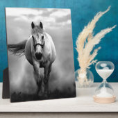 Black White Running Horse Freedom Fotoplaat (Zijkant)