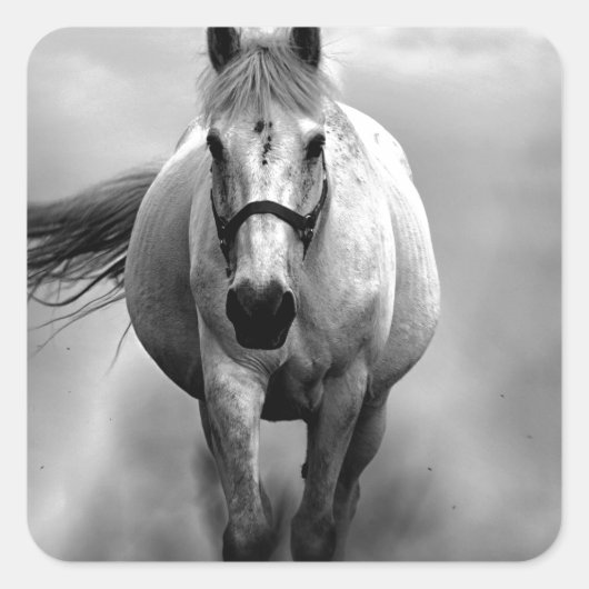 Black White Running Horse Freedom Vierkante Sticker (Voorkant)