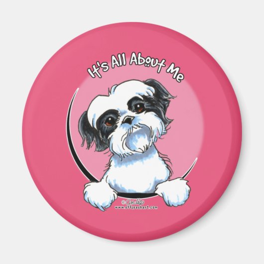 Black/White Shih Tzu IAAM Magneet (Voorkant)