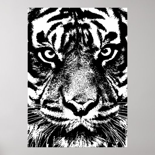 Black White Sumatran Borneo Tiger Eye Artwork Poster (Voorkant)