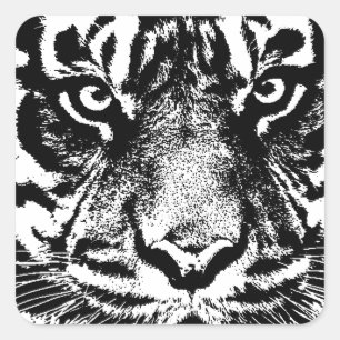 Black White Sumatran Borneo Tiger Eye Artwork Vierkante Sticker
