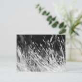 Black & White Tall Grass Briefkaart (Staand voorkant)