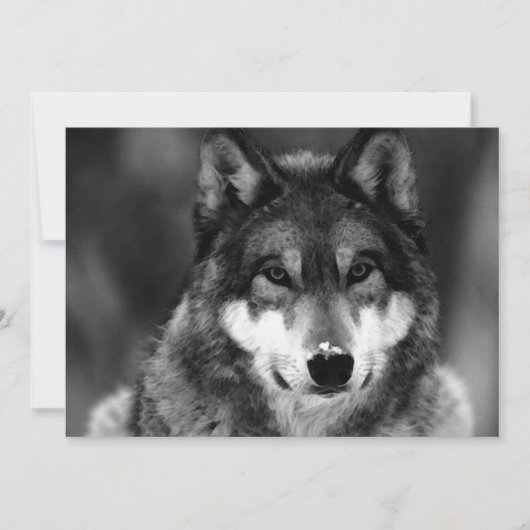 Black & White Wolf Uitnodiging (Voorkant)