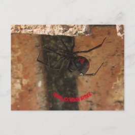 Black Widow Spider Briefkaart