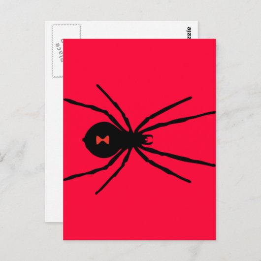 Black Widow Spider Briefkaart (Voorkant / Achterkant)