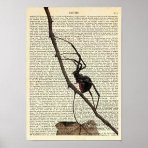 Black Widow Spider, Gothic, Natuur, Arachanofobie Poster