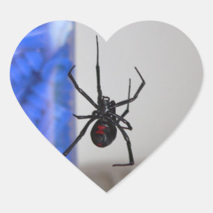 Black Widow Spider Hart Sticker