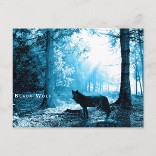 Black Wolf Bossen Forest Night Fantasy Briefkaart