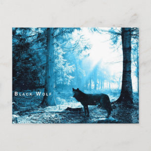 Black Wolf Briefkaart