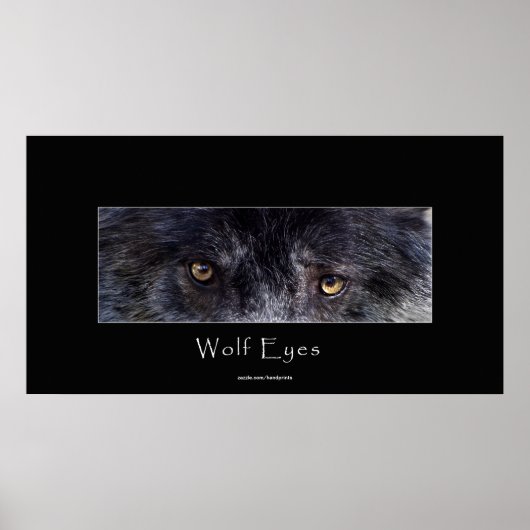 Black Wolf Eyes Wildlife Poster (Voorkant)