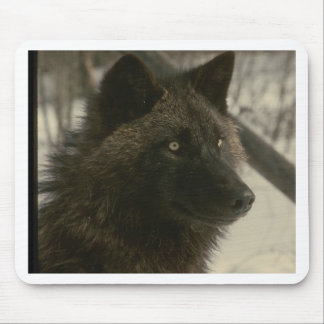 Black Wolf Muismat