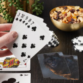 Black Wolf Pokerkaarten (Insitu)