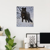Black Wolf Poster (Thuiskantoor)