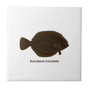Blackback Flounder Tegeltje