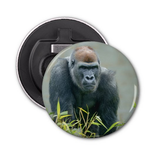 Blackback Gorilla Lope Button Flesopener (Voorkant)