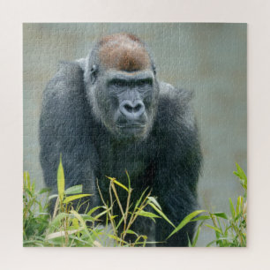 Blackback Gorilla Lope Legpuzzel