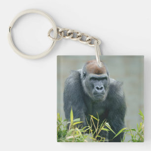 Blackback Gorilla Lope Sleutelhanger