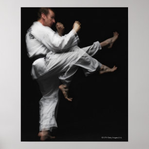 Blackbelt Doing a Front Kick Poster
