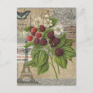 Blackberries Bloementuin Bloemvlinder Kunst Briefkaart