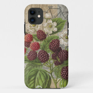 Blackberries Bloementuin Bloemvlinder Kunst iPhone 11 Hoesje