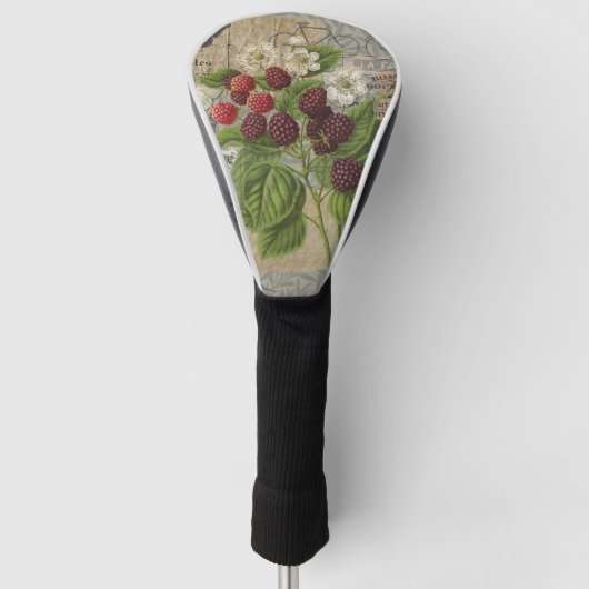 Blackberries Bloementuin Bloemvlinder Kunst Golfheadcover (Voorkant)