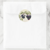 Blackberries en Briefkaart Ronde Sticker (Tas)