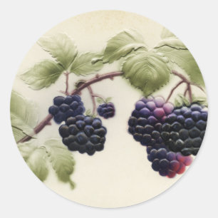 Blackberries en Briefkaart Ronde Sticker