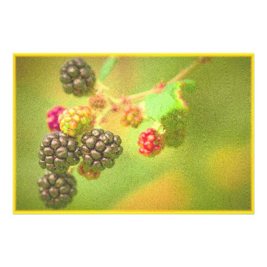 "Blackberries Fruit Plante" Photo mignonne. Comman (Devant)